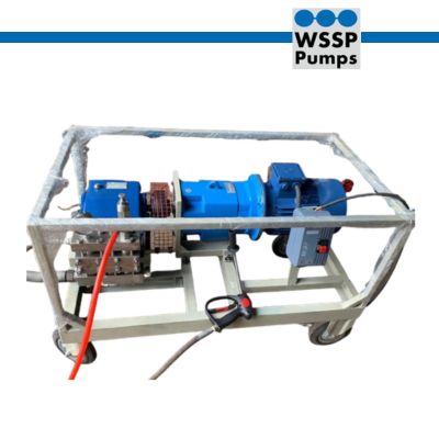 WSSP Pumps